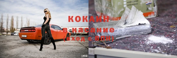 шишки Надым