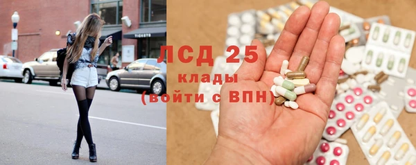 шишки Надым