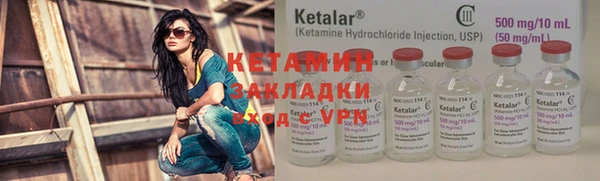 шишки Надым