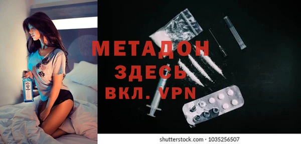 шишки Надым