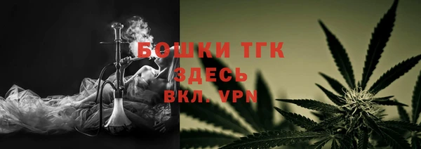 шишки Надым