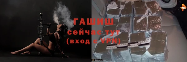 шишки Надым