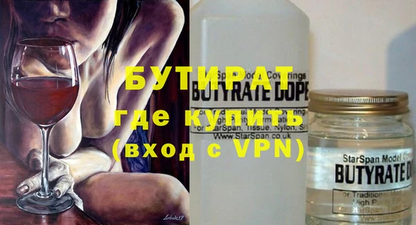 шишки Надым