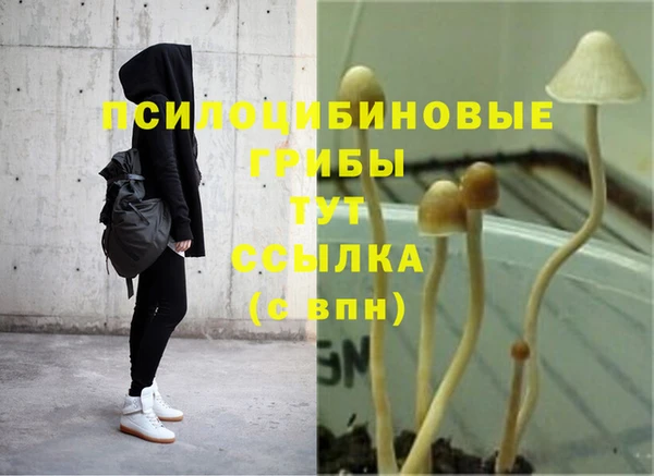 COCAINE Дегтярск