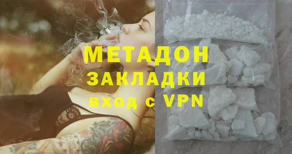 шишки Надым