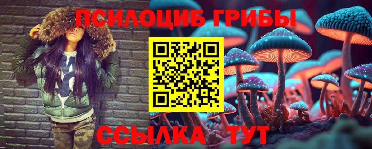 Галлюциногенные грибы мицелий  Вход с VPN  Качканар 